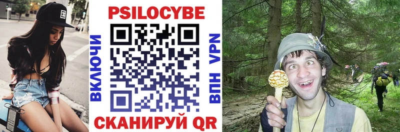 где найти наркотики Мостовской Галлюциногенные грибы Psilocybe